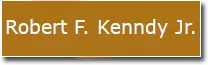 speaker_flynn.png