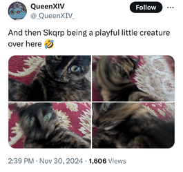 IMG_3717.jpeg
