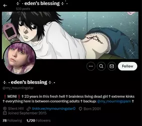 1733749008514.png