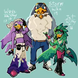 tumblr_b1c42e317547c805b5b3ddc0cef69a01_d6313837_1280.png