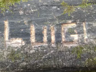 1733768307182.png