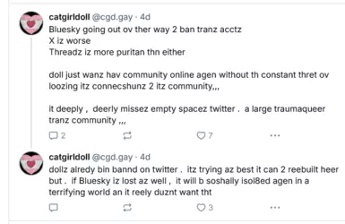 Screenshot 2024-11-29 at 16-22-59 catgirldoll (@cgd.gay) — Bluesky.png