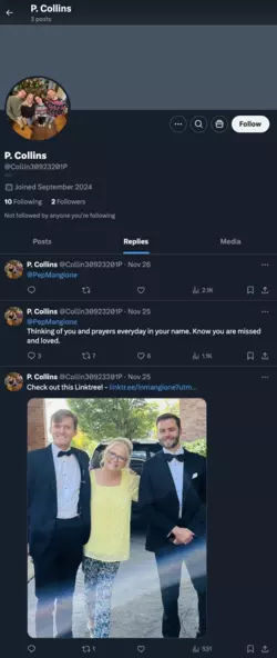 1733784363520.png