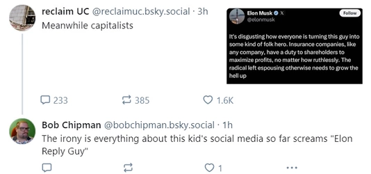musk-insure.jpg