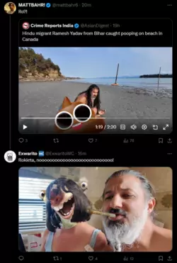 1733850452399.png