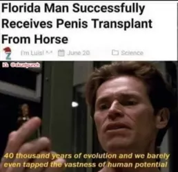 0af97d62729449c7.png