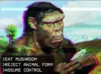 adb864d7ea708b9a.png