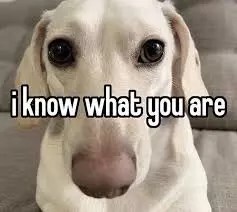 Iknowwhatyouare.jpg