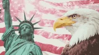 usa.gif