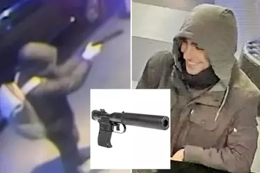 gun-comp.jpg