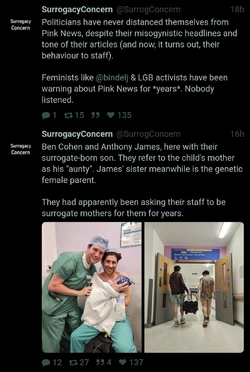 Rapist Faggots have a Baby Boy to rape.jpg