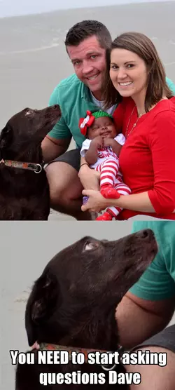 I know it, your family knows it, DOGS know it.png