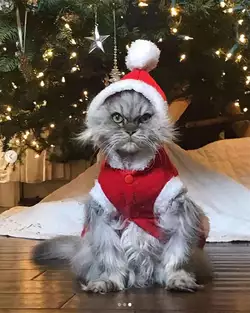 satanclaws.jpg