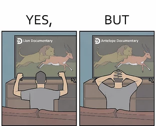 5bb6b9dc7cdb7fa8.jpg