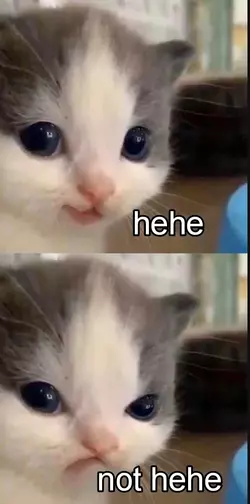 1000007239.png