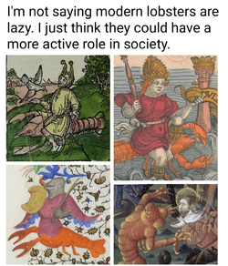 fdbfc40fbaf39db0.jpg