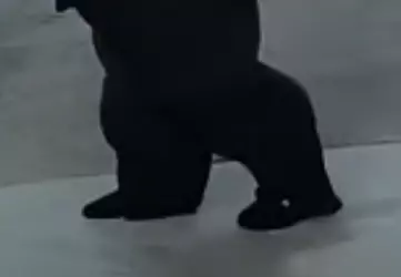 1000008357.png
