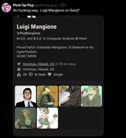 luigibarq.png