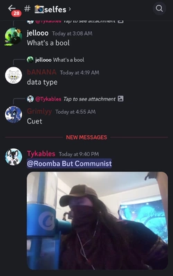 Screenshot_20241211_233247_Discord.jpg
