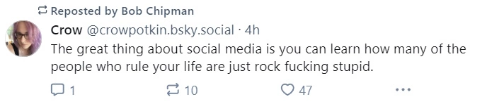 bs.jpg