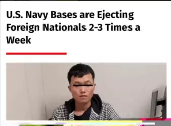 fag (27).png