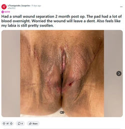 Camel_toe_troon2.jpg
