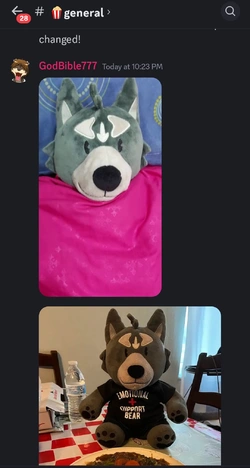 Screenshot_20241211_232822_Discord.jpg