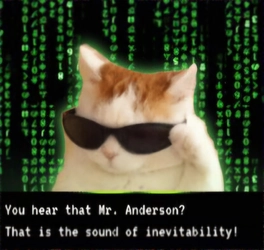 1000006339.jpg