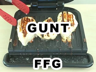 gunt-ffg-symbiosis.jpg