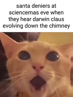 1734049624903.png