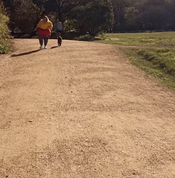1000007682.gif
