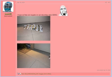 shlog2.jpg