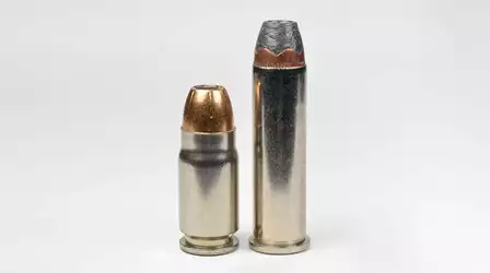 357_Siggers.jpeg