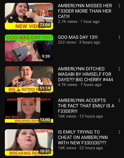 Screenshot_20241213_175738_YouTube.jpg