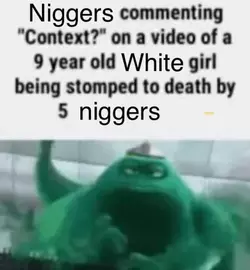 1734121847265.png