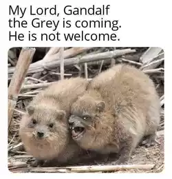 GANDALF.jpg