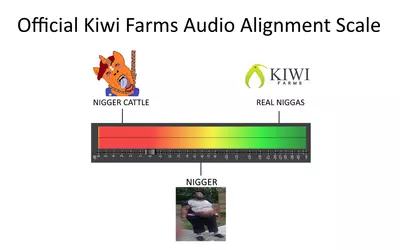 official kiwi farms audio alignment scale.png