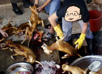 grummz grubz 2.png
