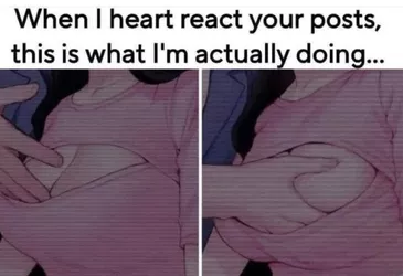 948052.jpg