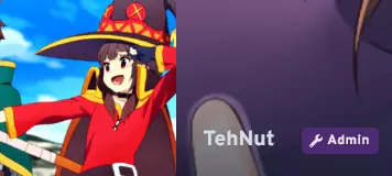 Screenshot 2024-12-01 at 16-27-59 TehNut's profile · AniList.png