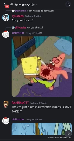 Screenshot_20241214_132432_Discord.jpg