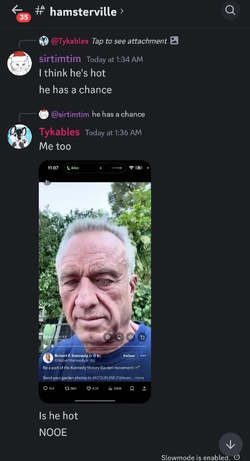 Screenshot_20241214_132820_Discord.jpg