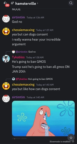 Screenshot_20241214_132829_Discord.jpg