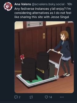 IMG_3926.jpeg