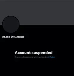 lane-stellmaker-x-suspended.png