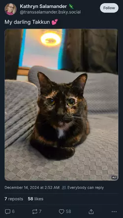 9.png