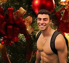 luigichristmas3.jpg
