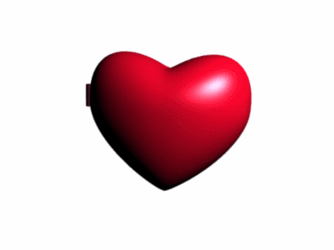 IMG_0453.gif