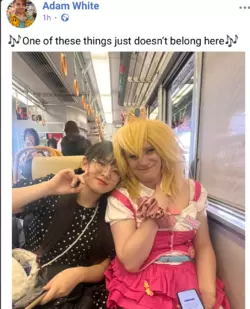 1734209707537.png