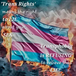 1734217499897.png